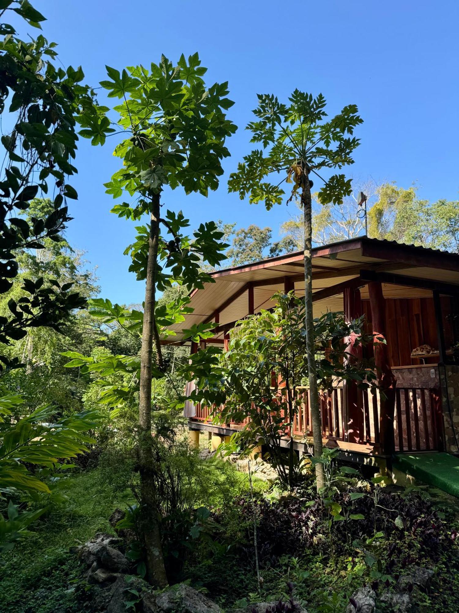 Brigitte'S Ranch Hotell Cahuita Eksteriør bilde